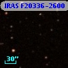 IRAS F20336-2600