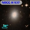 NOGG H  837