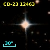 CD-23 12463