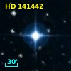 HD 141442