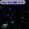 Ass Sco OB   2-5