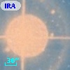 IRAS 15557-2558