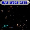 IRAS 16029-2555