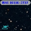 IRAS 16116-2737