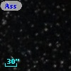 Ass Sco OB   2-38