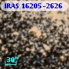 IRAS 16205-2626