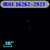 IRAS 16262-2827