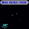 IRAS 16263-2838