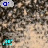 Cl* NGC 6121    ALC     474