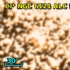 Cl* NGC 6121    ALC     516