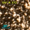 SV* R   372