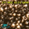 Cl* NGC 6121    ALC     213