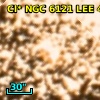 Cl* NGC 6121    LEE    4612