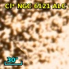 Cl* NGC 6121    ALC     480