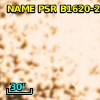 NAME PSR B1620-26 b