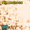 PSR B1620-26