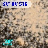 SV* BV   576