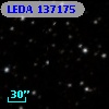 LEDA  137175