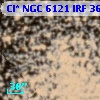 Cl* NGC 6121    IRF     364