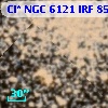 Cl* NGC 6121    IRF     859