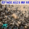 Cl* NGC 6121    IRF     891