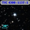 TYC 4300-1137-1
