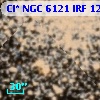 Cl* NGC 6121    IRF    1214
