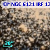 Cl* NGC 6121    IRF    1225