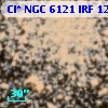 Cl* NGC 6121    IRF    1230