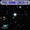 TYC 4300-2023-1