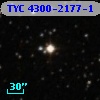 TYC 4300-2177-1