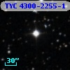 TYC 4300-2255-1