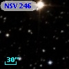 NSV   246