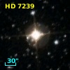 HD   7239
