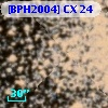 [BPH2004] CX 24