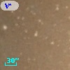 V* V938 Sco
