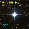 V* V955 Sco