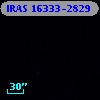 IRAS 16333-2829