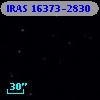 IRAS 16373-2830