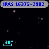 IRAS 16375-2902