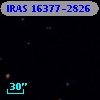 IRAS 16377-2826
