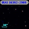 IRAS 16382-2909