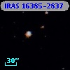 IRAS 16385-2837