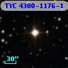 TYC 4300-1176-1