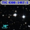 TYC 4300-1487-1