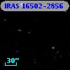 IRAS 16502-2856