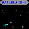 IRAS 16516-2844