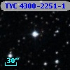 TYC 4300-2251-1