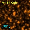 V* BP Oph
