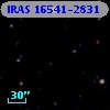 IRAS 16541-2831
